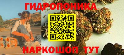 дживик Заводоуковск