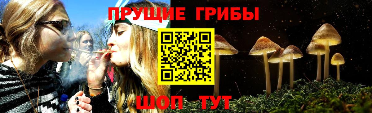 Псилоцибиновые грибы MAGIC MUSHROOMS  Вход с VPN  Ипатово 
